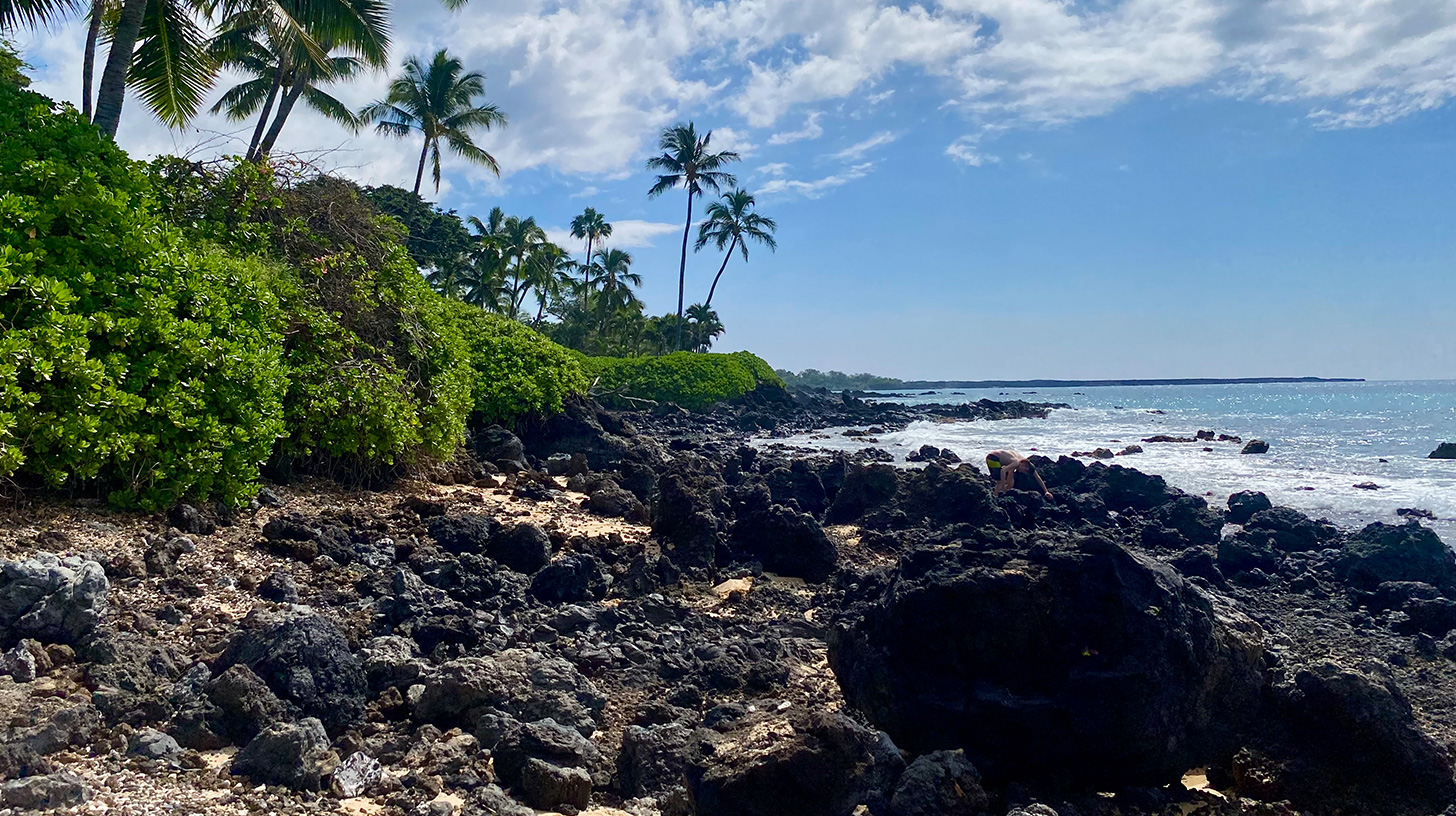 Dave’s Maui Memoir: The Final Chapter (Kinda)