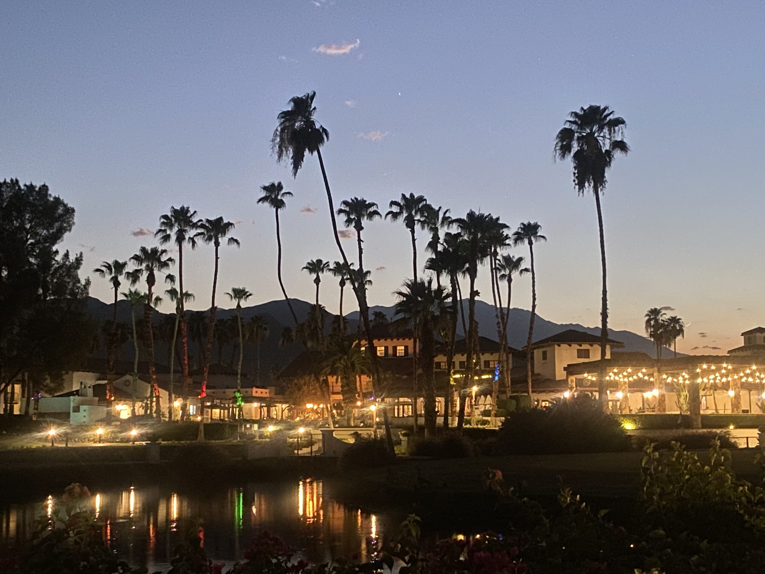 Midnight at the Oasis