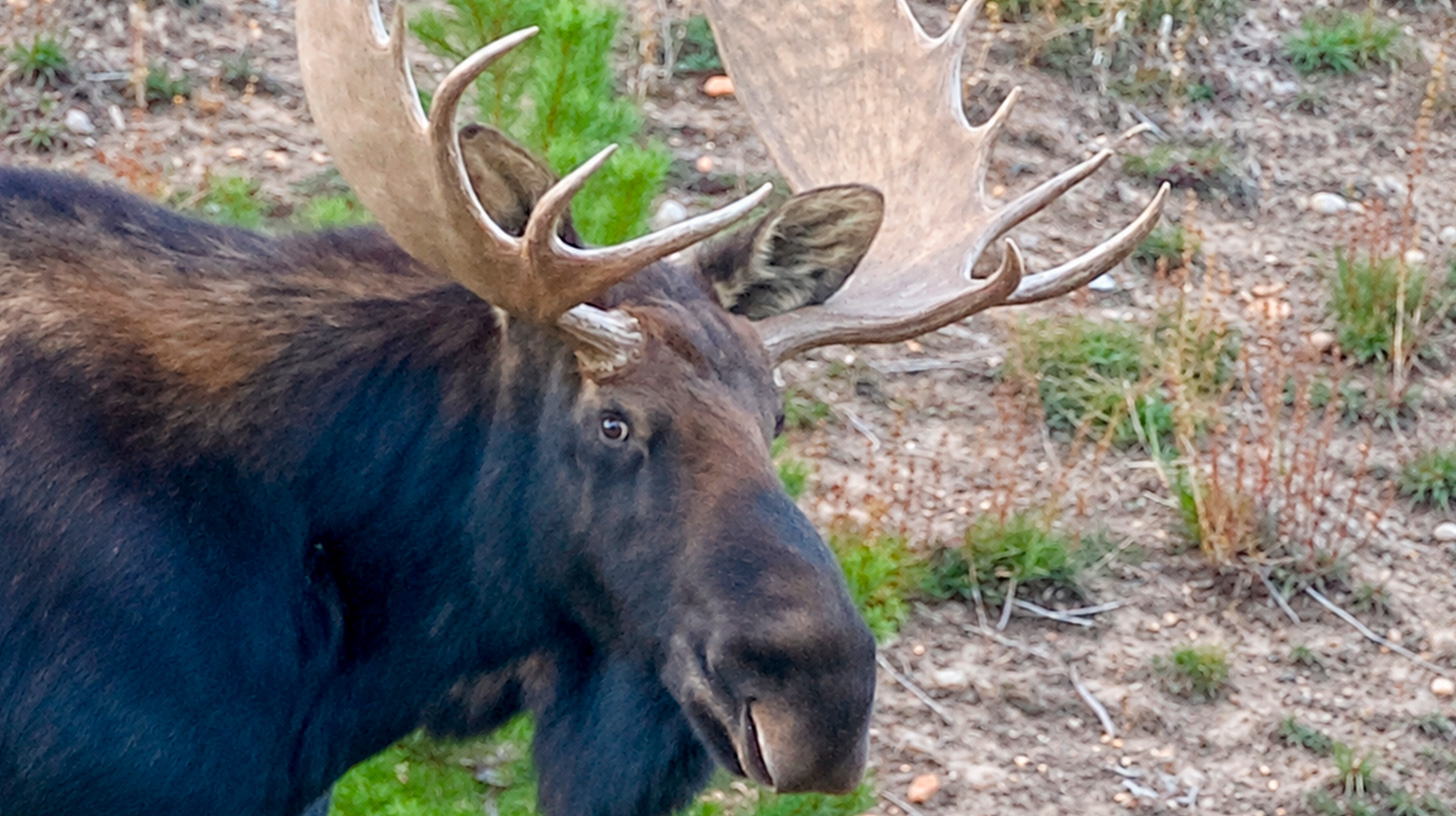 Dave on the Rocks in the Rockies: Part 1